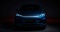 BYD хочет полностью локализовать европейский модельный ряд до 2028 года